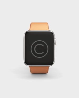 Personal Smart Watch